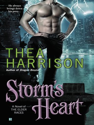 cover image of Storm's Heart